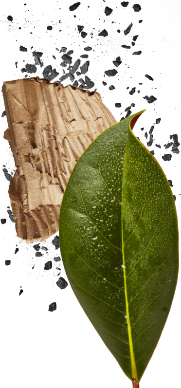 Our Commitment to the Earth